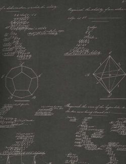 Papel Pintado Andrew Martin, referencia Pythagoras charcoal - 1