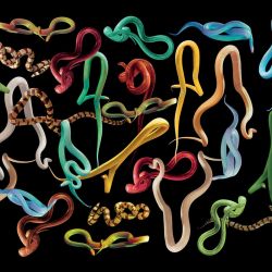 Fotomural Snakes Storm de London Art, referencia 01TP 01 - 1