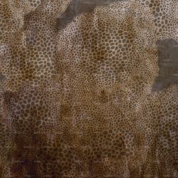 Fotomural Cheetah de Wall & Decó, referencia WDCH1703 - 1