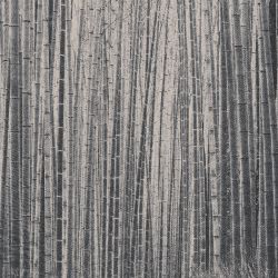 Fotomural Arashiyama de Jv Italian Design, referencia 40320 - 1
