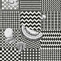 Papel Pintado Frutta E Geometrico Black & White de Cole & Son, referencia 123/6030 - 1