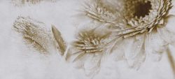 Fotomural Crazy Flowers de Inkiostro Bianco, referencia INKKKCR1401 - 1