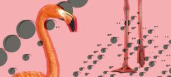 Fotomural Flamingos de Inkiostro Bianco, referencia INKSSLI1401 - 1